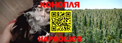 spice Рязань