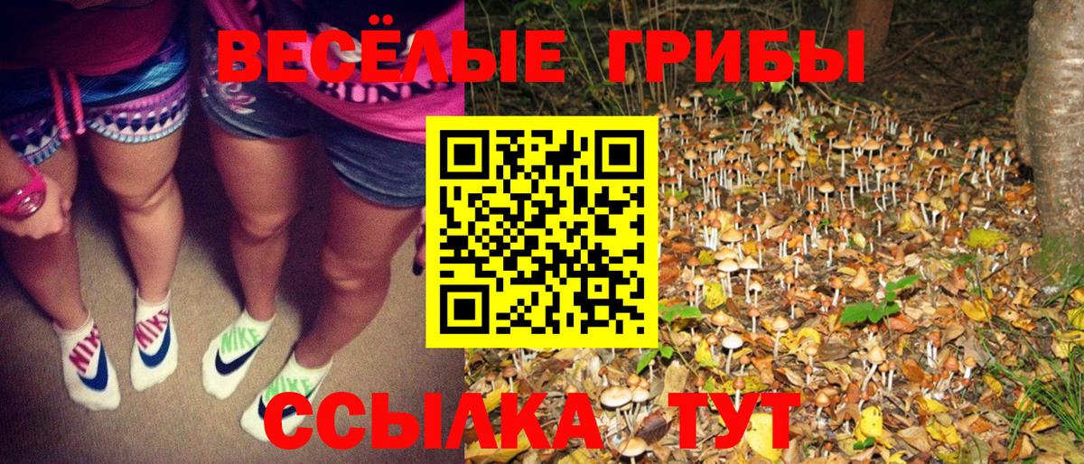 Псилоцибиновые грибы мухоморы Санкт-Петербург