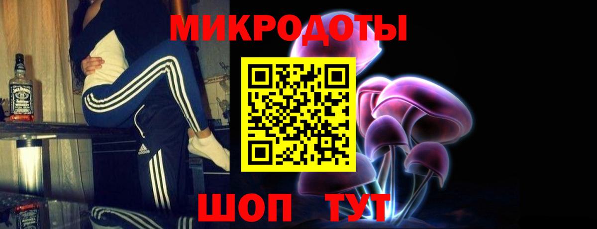 Галлюциногенные грибы Psilocybine cubensis  Вход с VPN  Санкт-Петербург  Галлюциногенные грибы прущие грибы 